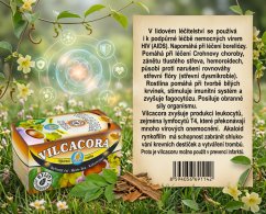 Obrázek (3)