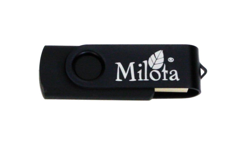Dárek USB Milota