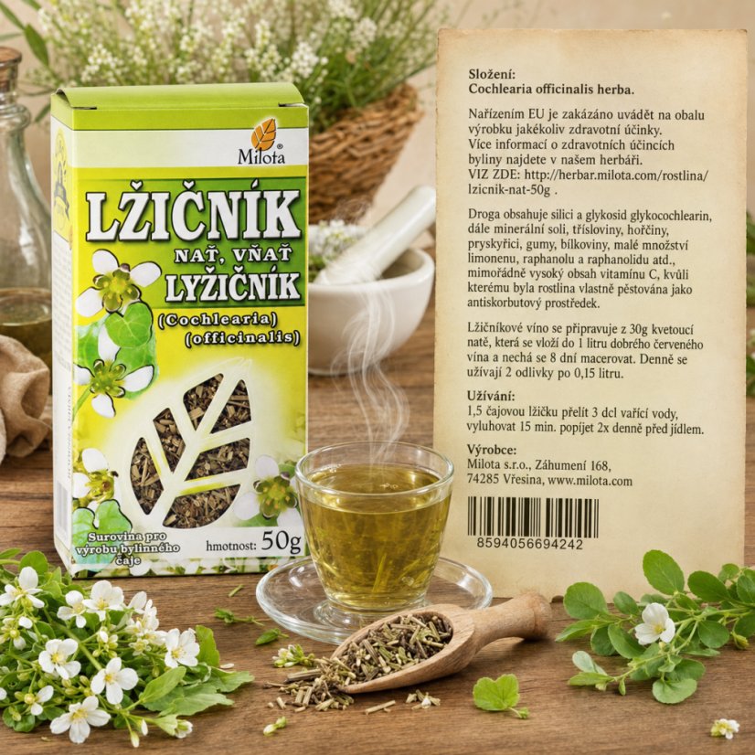 Obrázek (1)