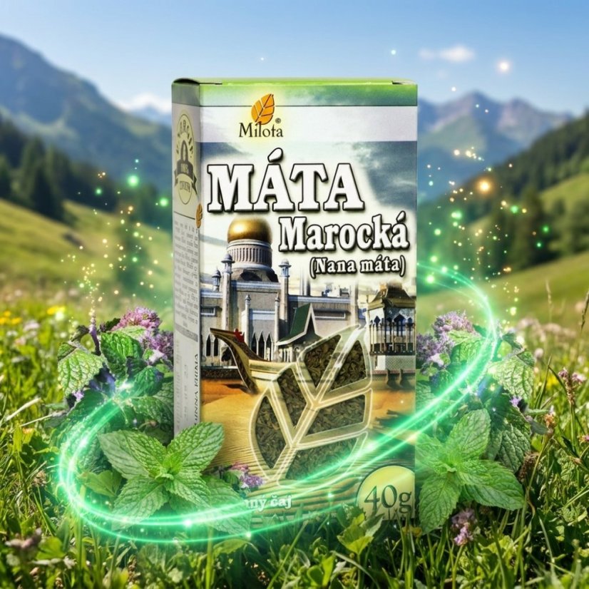 Marocká Mäta - Nana 40g