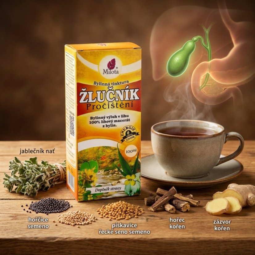Obrázek (1)