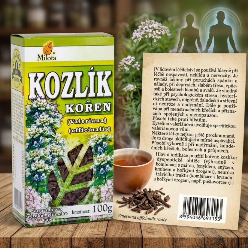 Obrázek (1)