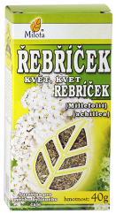 B-rebricek-kvet-96179.png