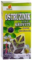 C:\POHODA\POHODA _E1\Dokumenty\MILOTA\Obrázky\B-ostruzinik-list-96143.png