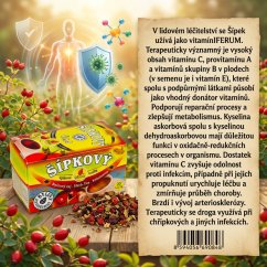 Obrázek (4)